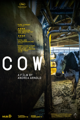 Cow (12A) :: Next Showing Sunday 13th February 7:30 PM