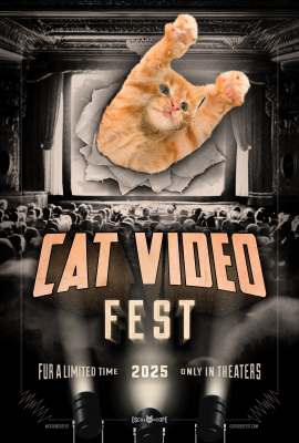 Cat Video Fest 2025 (U) :: Next Showing Saturday 22nd November 7:30 PM