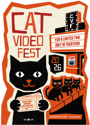 CatVideo Fest 2026 (U) :: Next Showing Saturday 28th November 2:00 PM