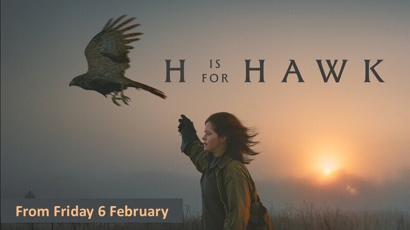 hawk